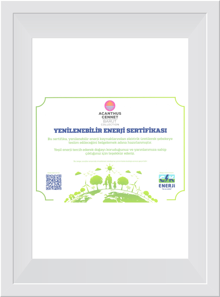 Renewable Energy Certificate