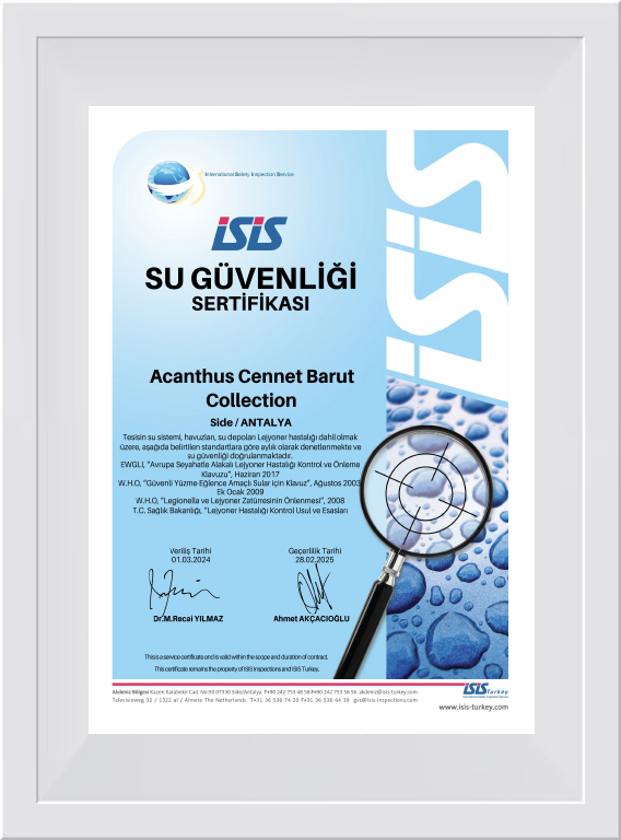 Water Safety Certificate