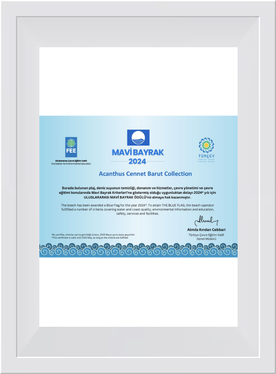 Blue Flag Certificate